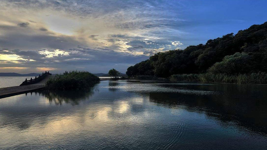 自考英语（二）A Violin with Three Strings