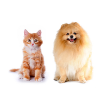 Projects of AIGC Design Team